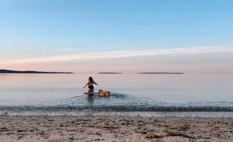 Header of summerisforfun