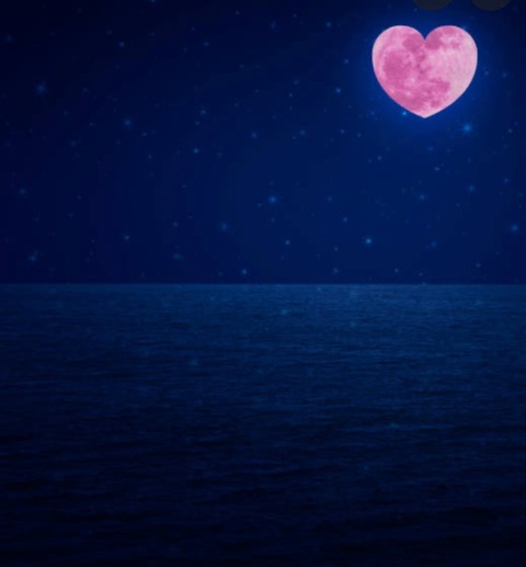 Header of sunnyknight