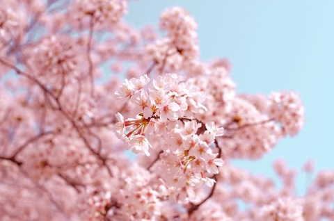 Header of sweetmarykate