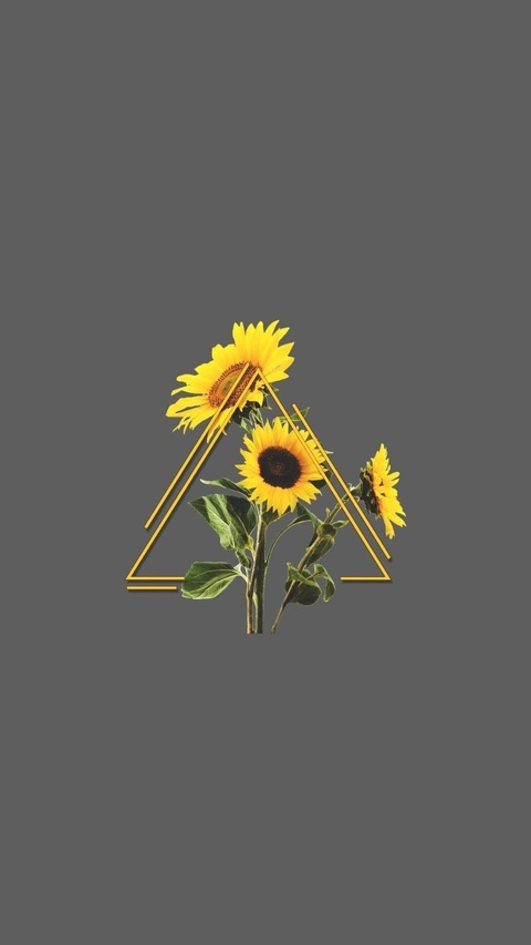 Header of sweetmshindo