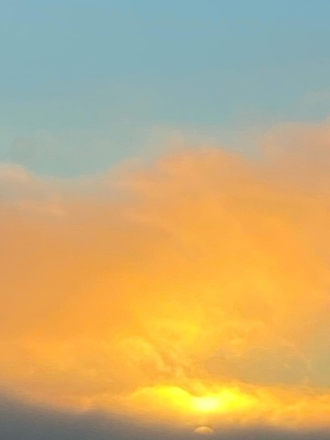 Header of sweetnsarah