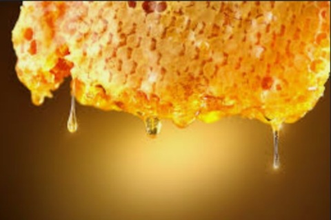 Header of tasteelikehoneyyy