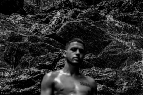 Header of theleowoods