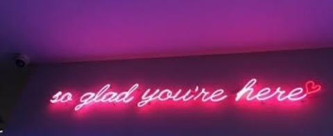 Header of thickkkxbunny