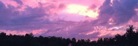 Header of tilley