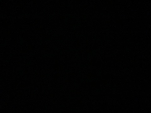 Header of tinytittythicky