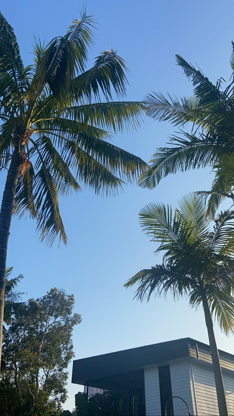Header of tjhendy