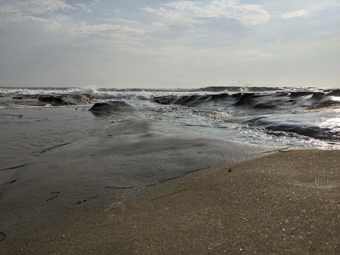 Header of u102046441