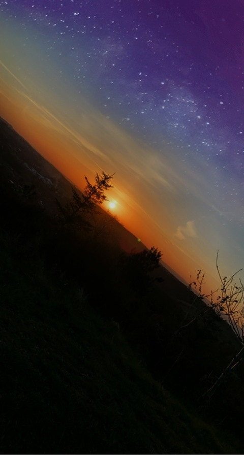 Header of u160654393