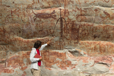 Header of u168476197