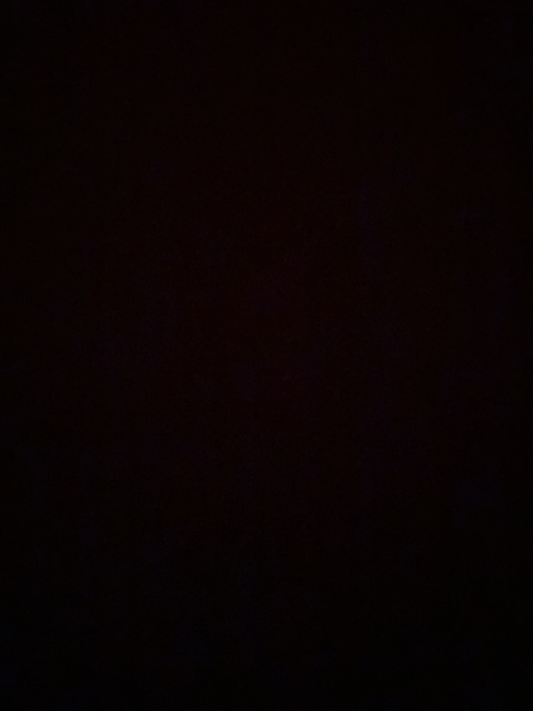 Header of u192898156