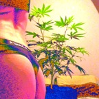 u228668278 (Xoxolexi420) OnlyFans content 

 profile picture