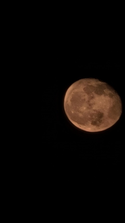 Header of u234597849