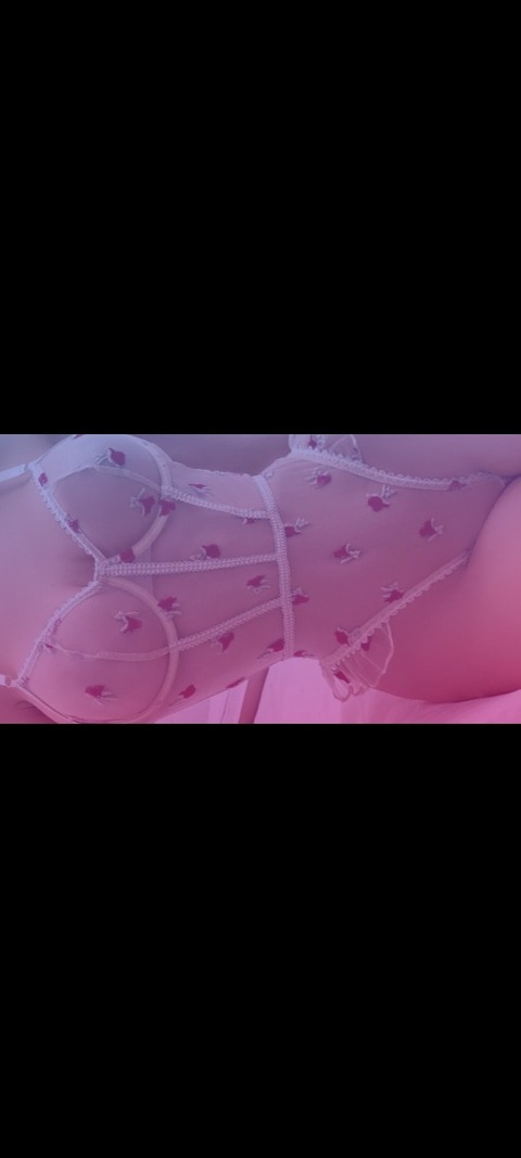 Header of u240593207