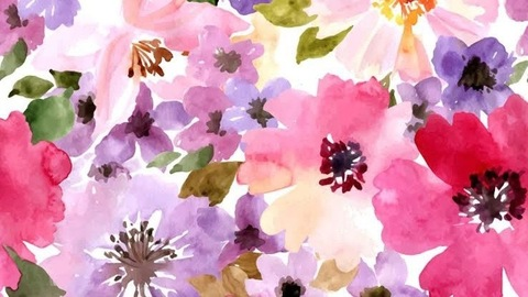 Header of u273902614