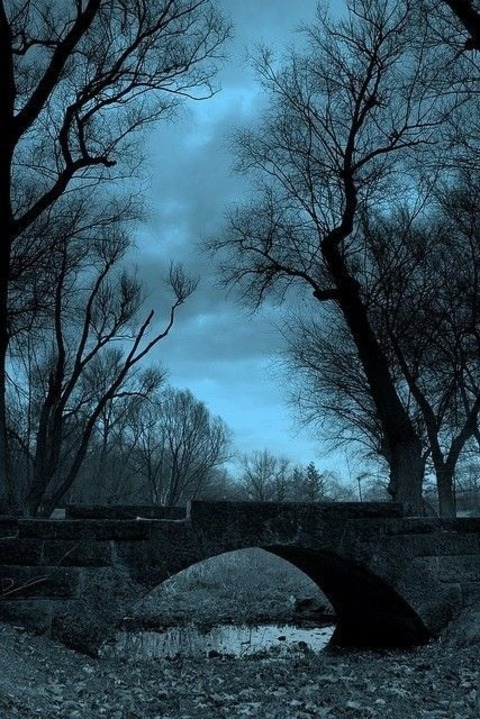 Header of u291637214
