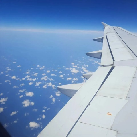 Header of u312681093