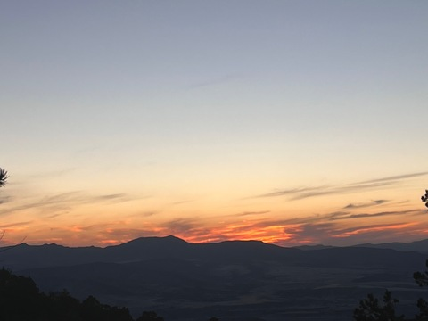 Header of u51131644