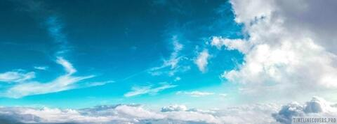 Header of u59254847