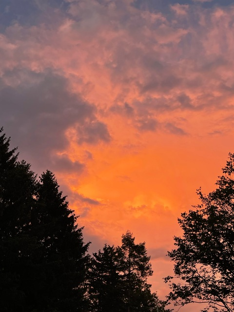 Header of victoria.lynes.modeling