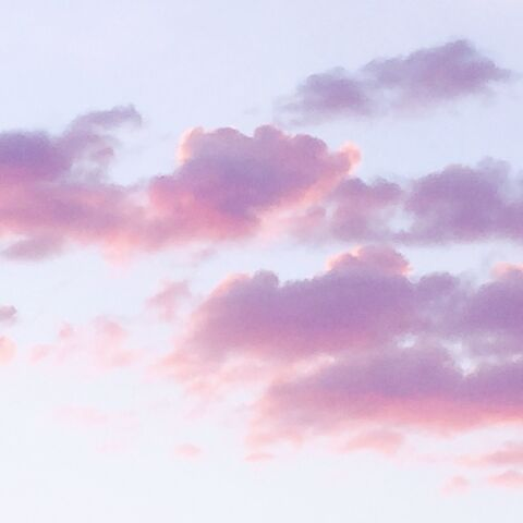 Header of violet222