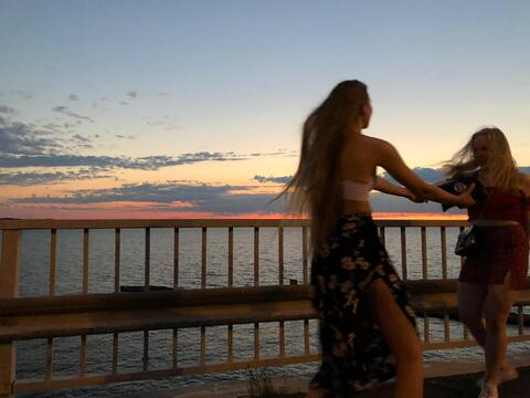 Header of viveca