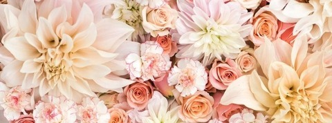 Header of vivienbellucci