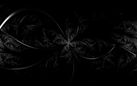 Header of wild_chery