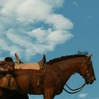 Roach (windshowling69) Leaks OnlyFans 

 profile picture