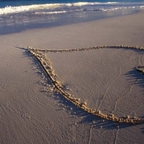 wisdom (u450551) free OnlyFans content 

 profile picture