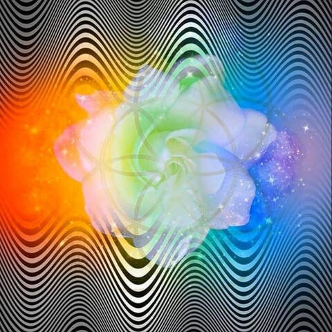 Header of wookieprincess