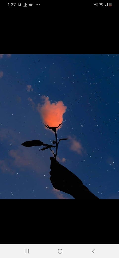 Header of xenaelan
