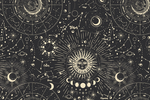 Header of xwitchplease