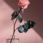 yourbestfantasybaby (😈Tu Fantasía🔥) OnlyFans content 

 profile picture