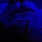 zena20 (🦋Fire_anddesiire🦋) free OnlyFans Leaked Videos and Pictures 

 profile picture