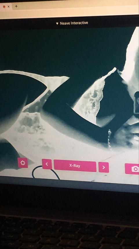 Header of zosienkaseksi